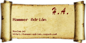 Hammer Adrián névjegykártya